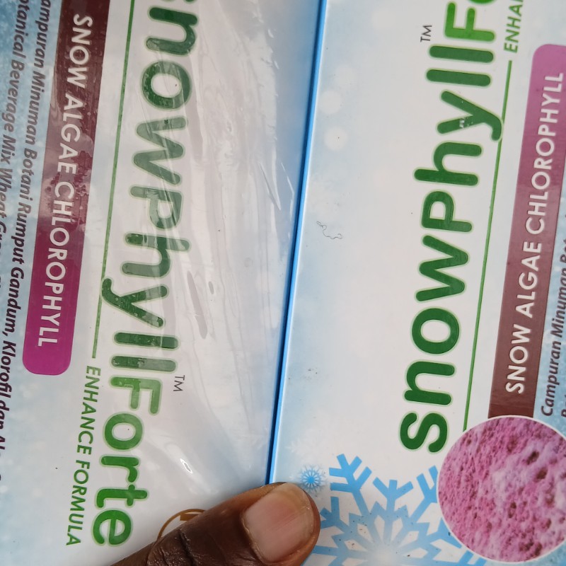 Snowphyllforte