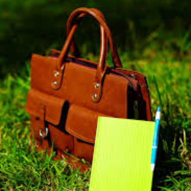 Bag
